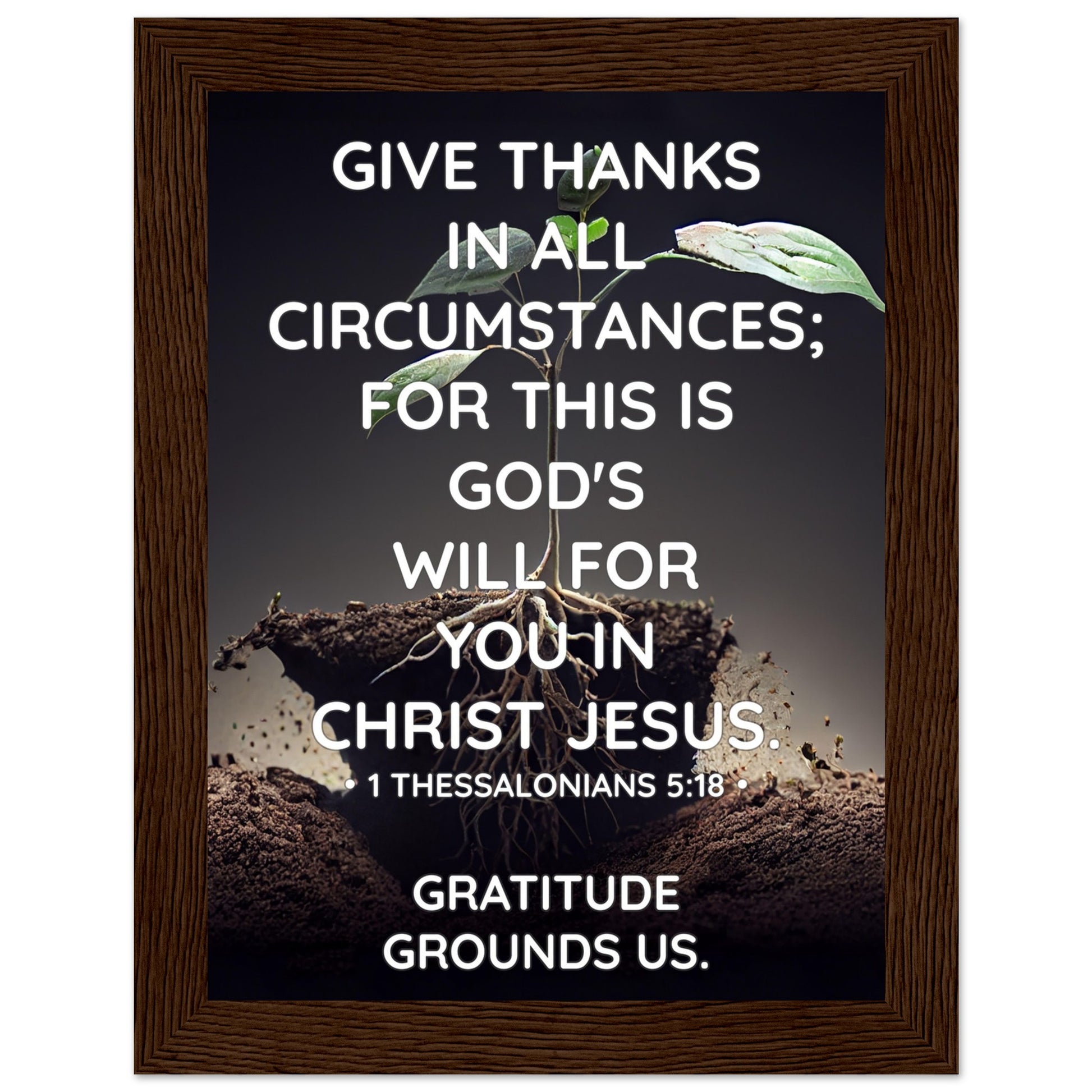 079f0cc1-c31f-4f83-bd3d-9c67e360a206