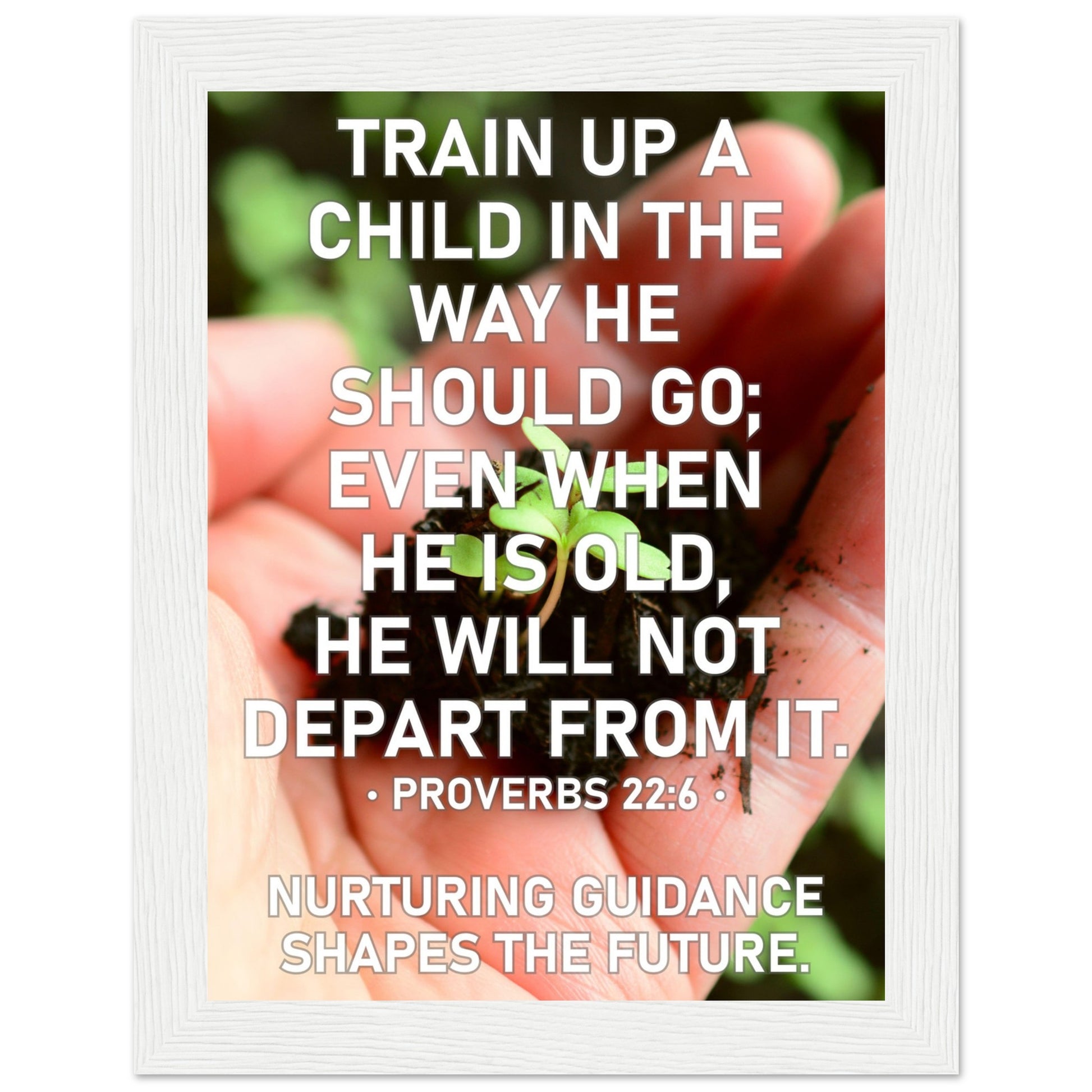 4bf8bae8-f379-45d9-977a-987d55b55670