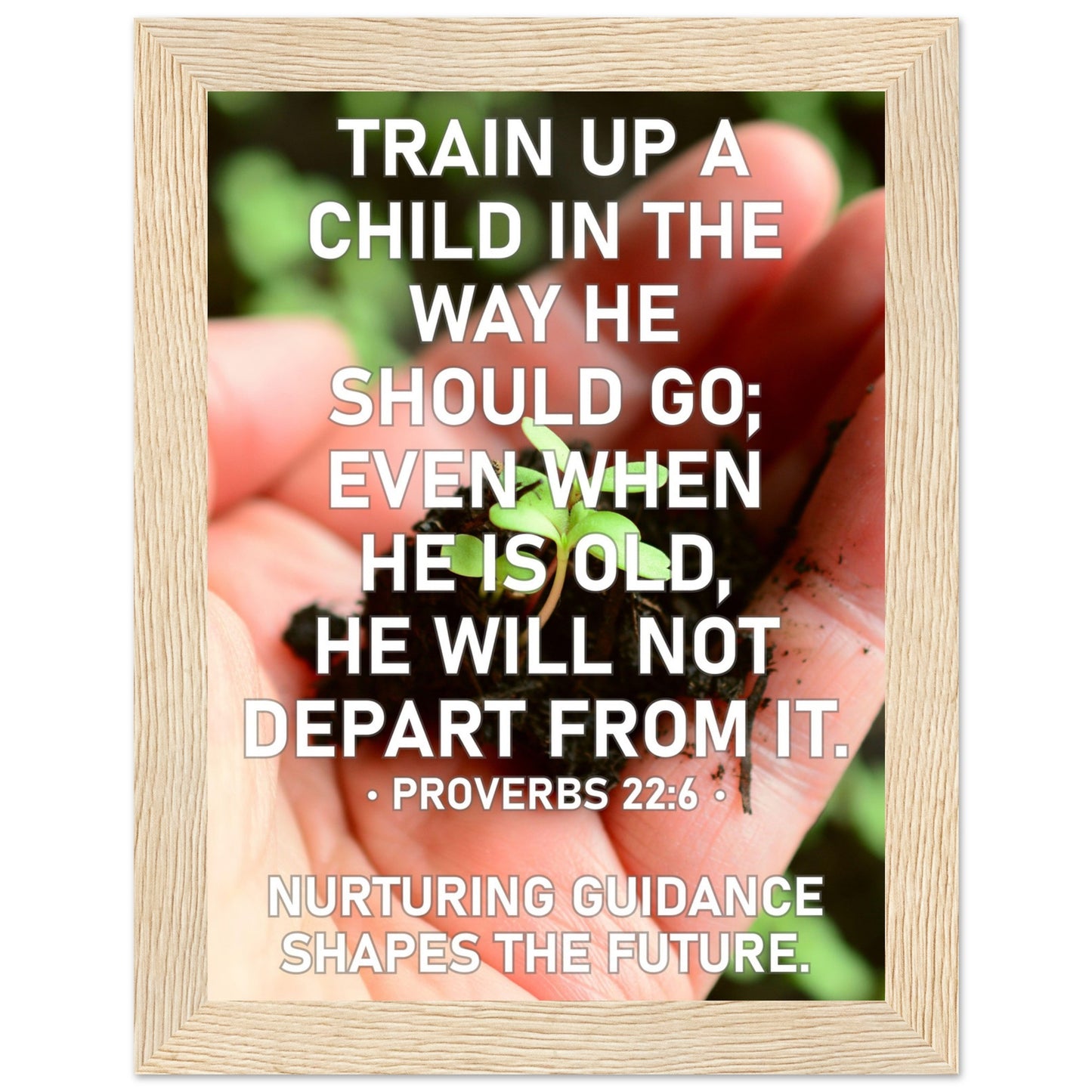 5b64c267-9f48-4789-8fcc-8a95bd5c891c