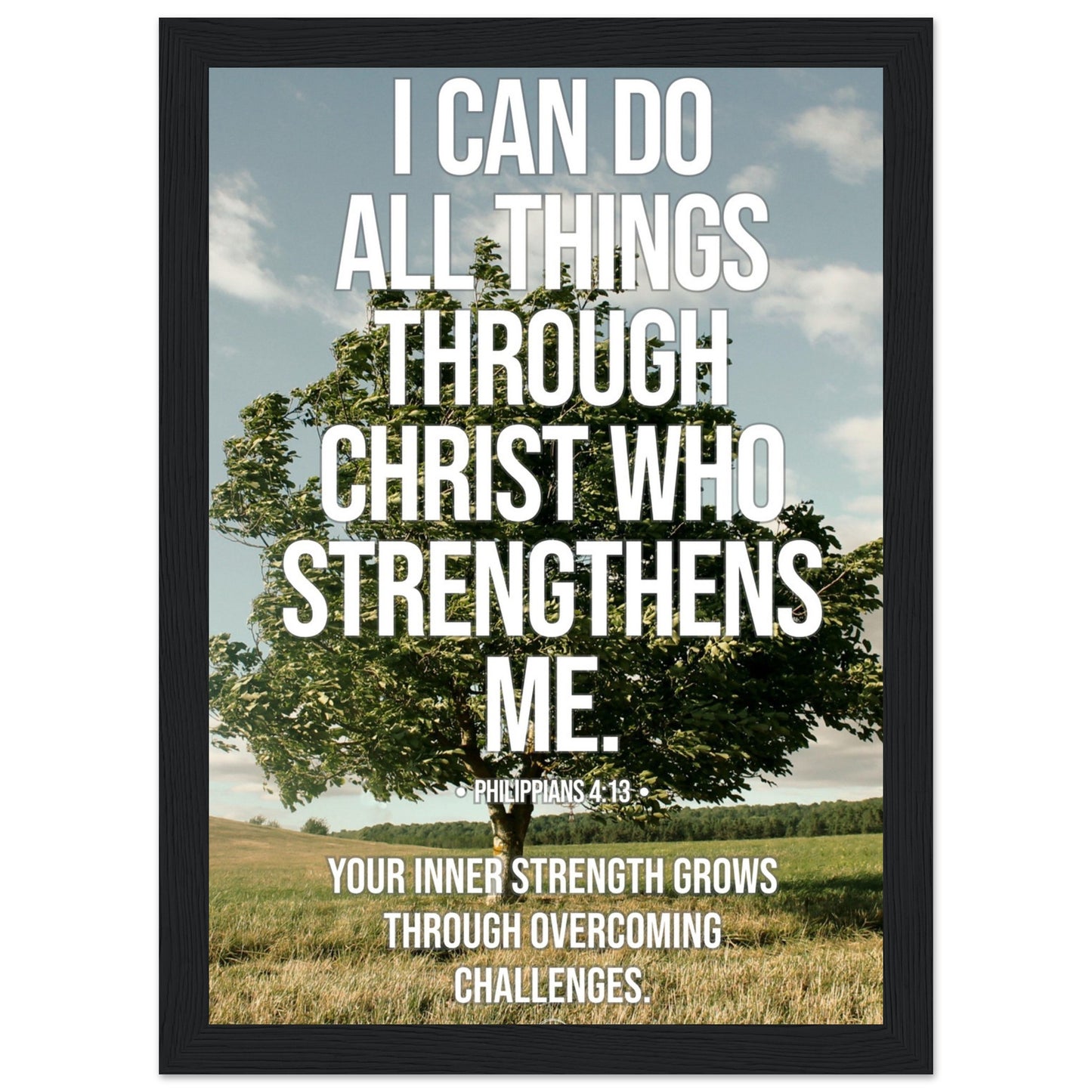 718e3867-e65b-4b13-99a4-b6f155befd49