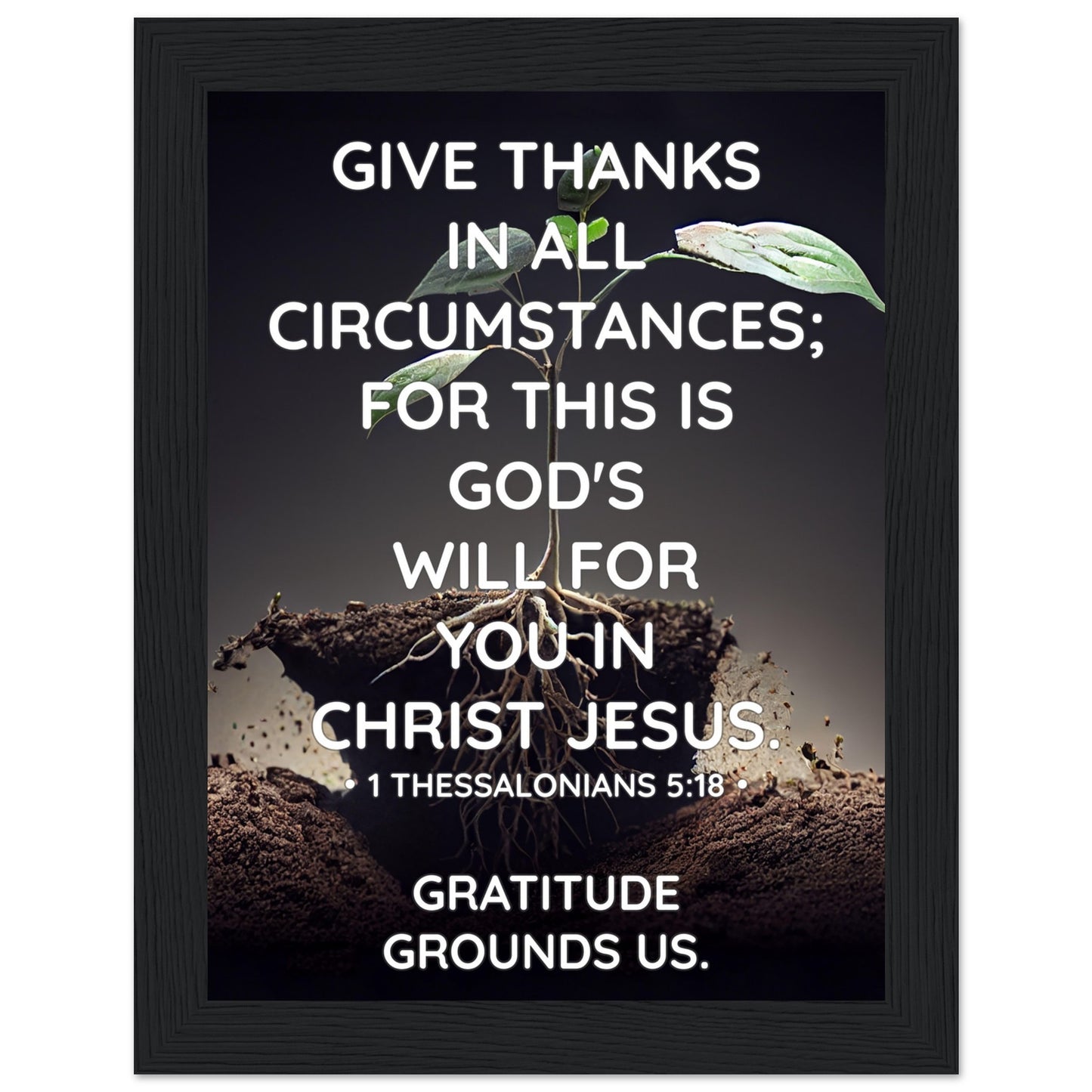 8ff5a797-5a8d-429f-9c03-a33fa7aef7ab