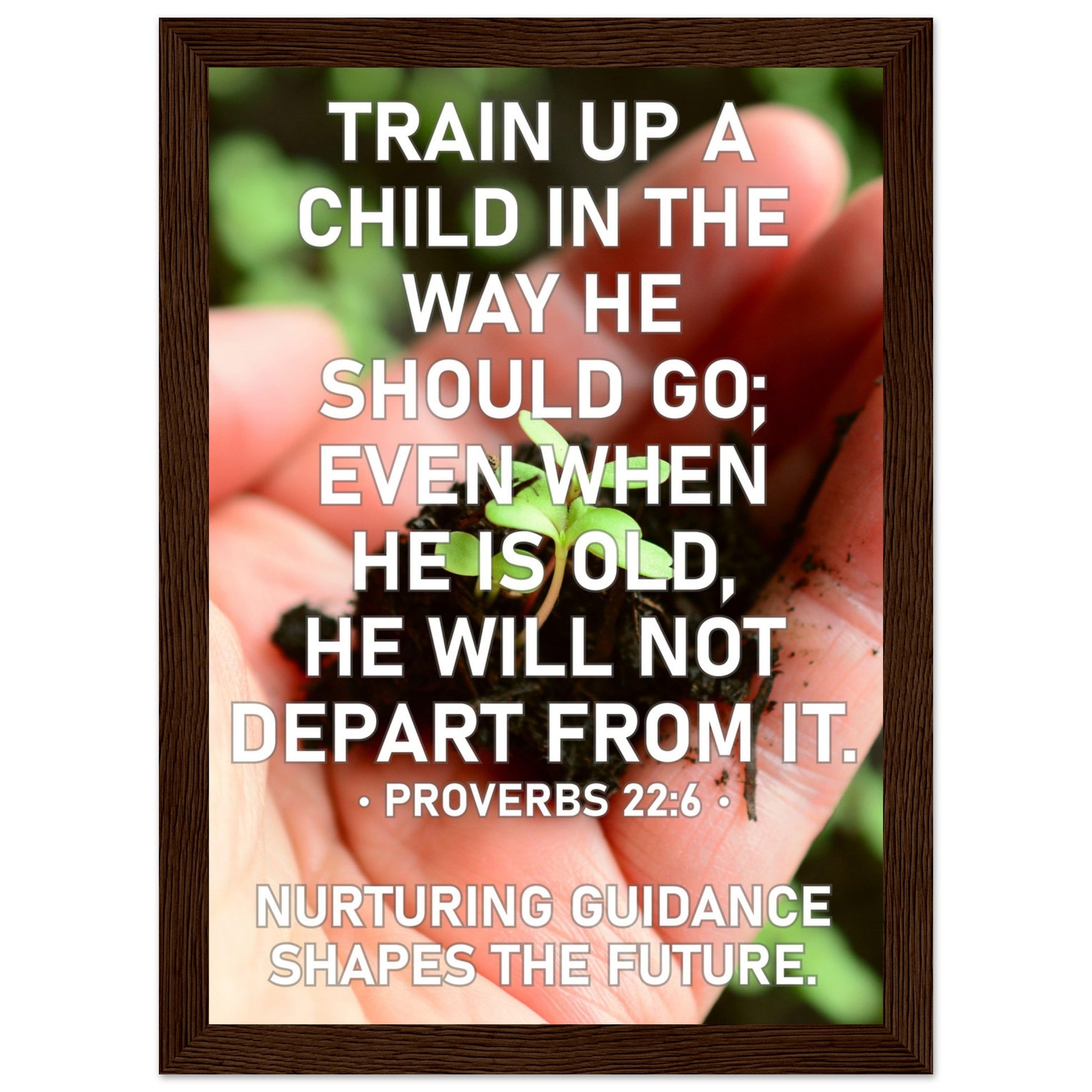 92d42b30-7363-4149-ab54-0fd24fe56c01