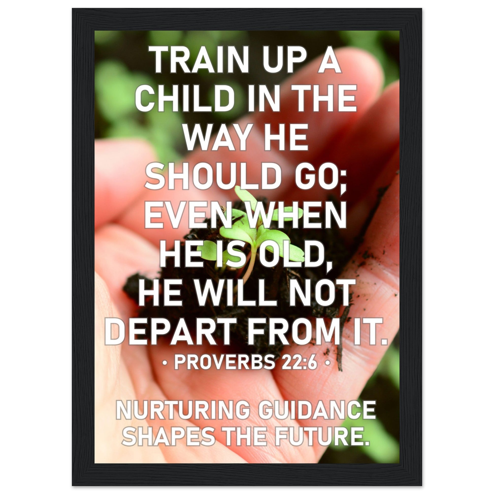 956a4054-f51c-4e73-adbb-36880848b8e6