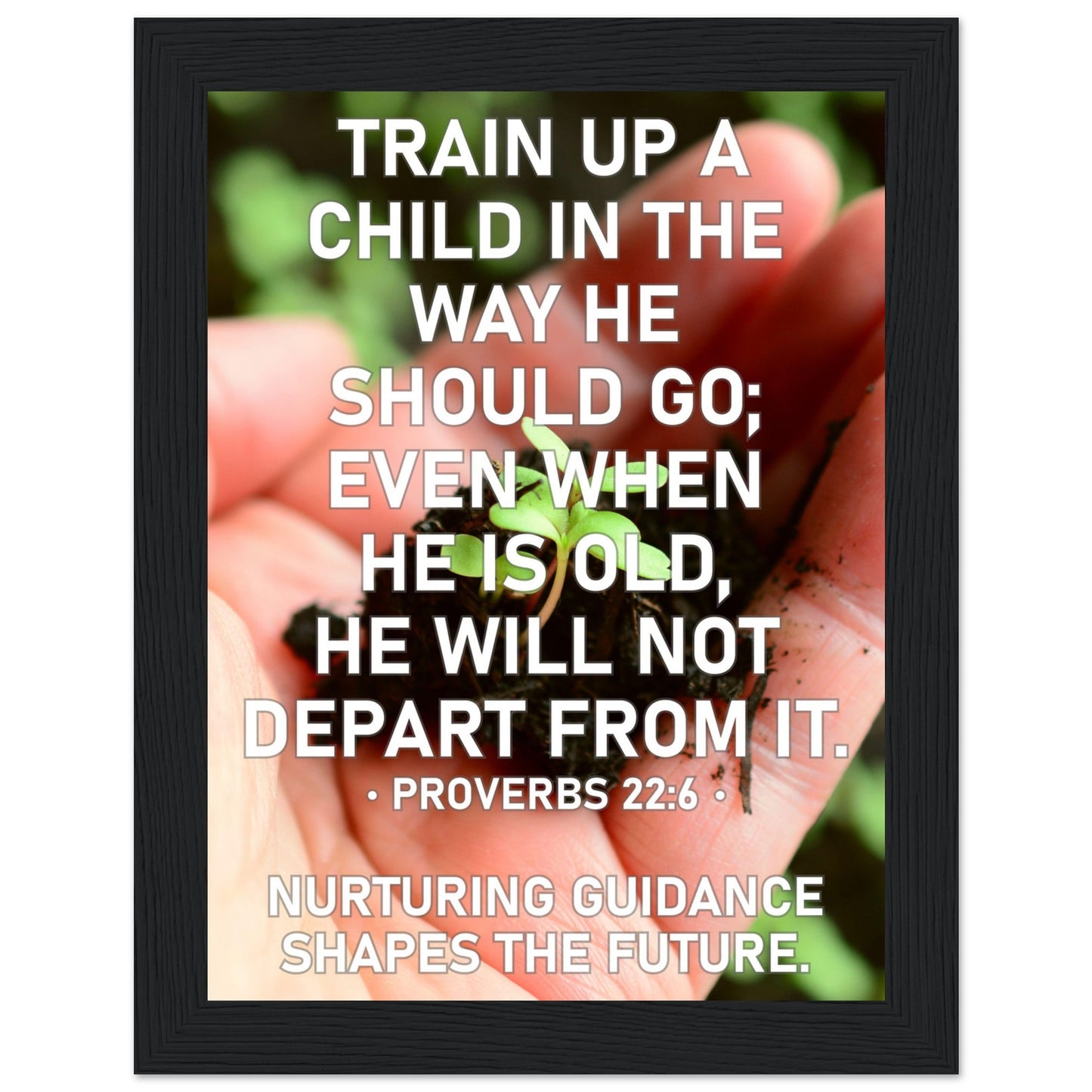 9b364b47-8e03-49df-8da0-08f34e4c3891