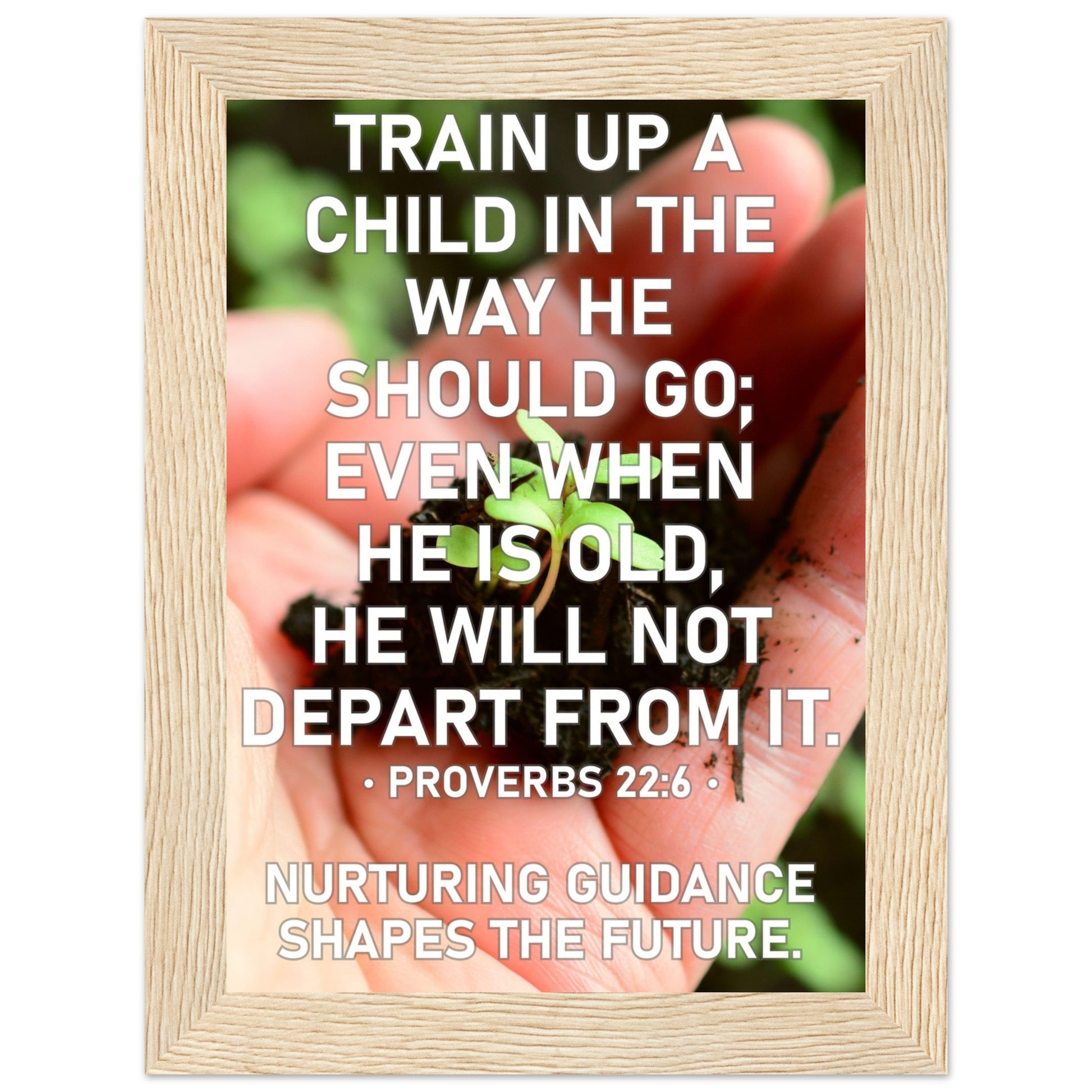 d72a0db9-2a05-4c7e-a1c9-2d01e1b42ca4