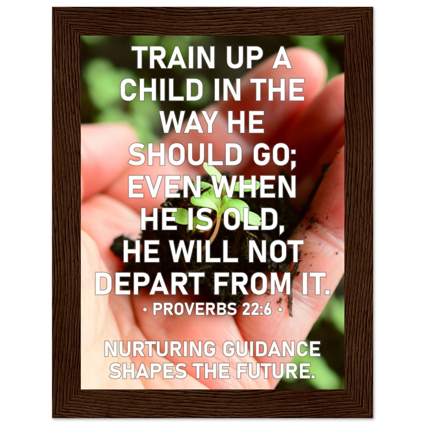 fc3d7cf0-a96e-46cb-82cc-bcc52057fa24